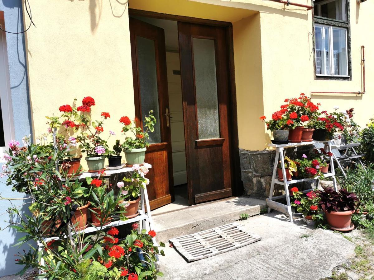 시비우 Felinarului House 아파트 외부 사진